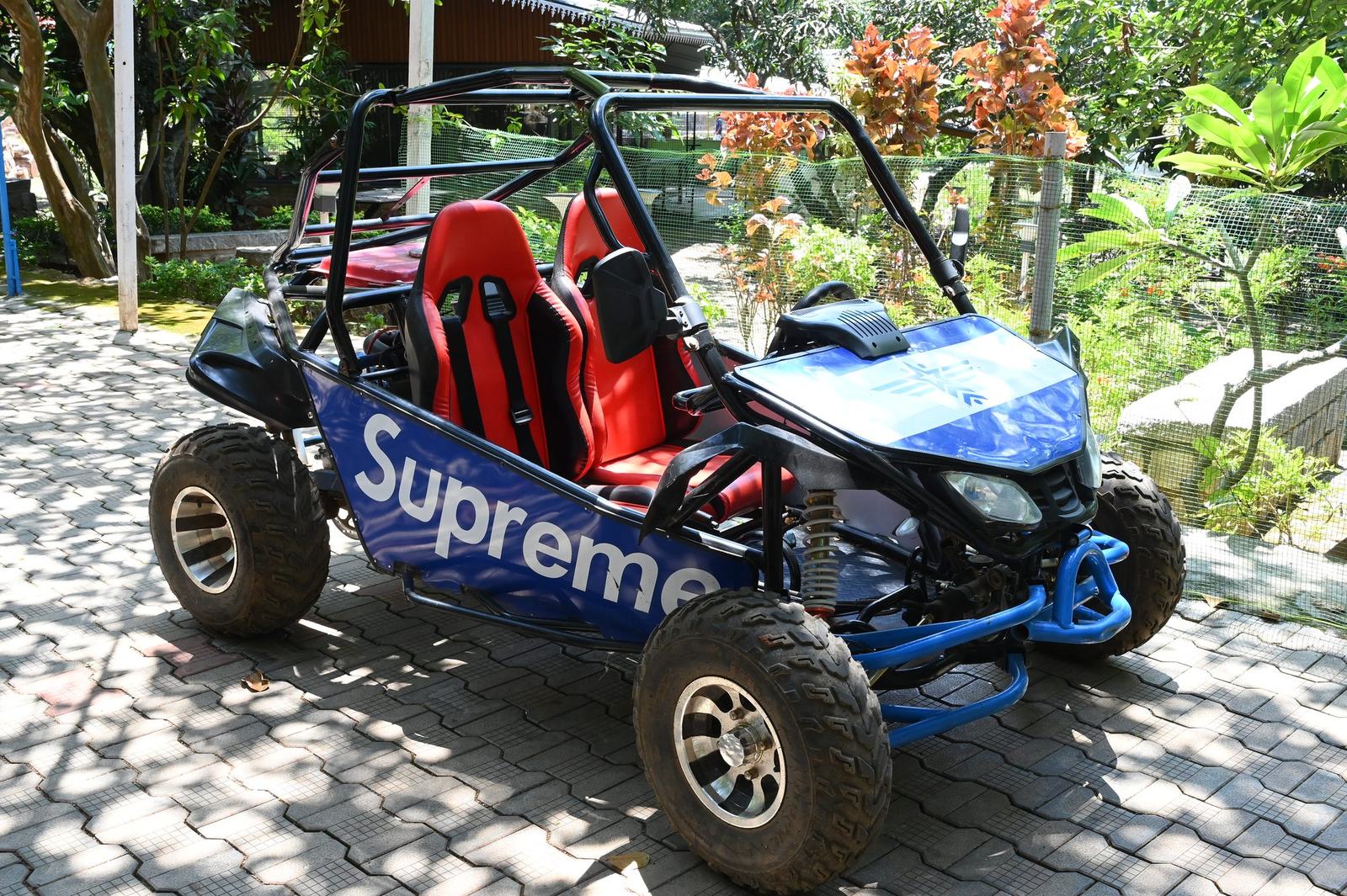 Buggy ride